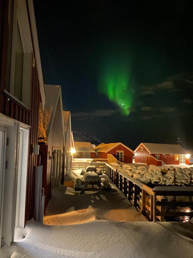 Rorbu I Lofoten Leknes Εξωτερικό φωτογραφία
