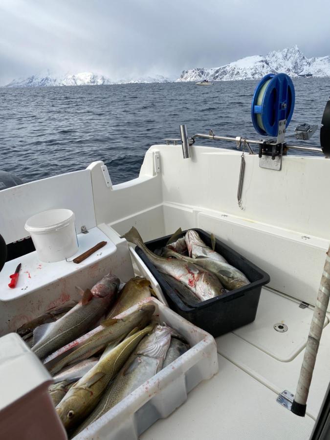Rorbu I Lofoten Leknes Εξωτερικό φωτογραφία