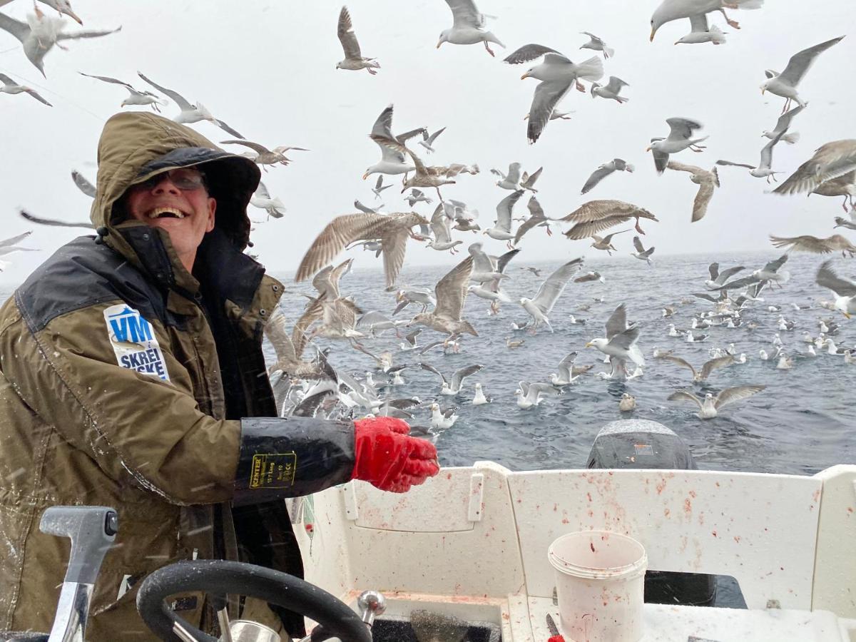 Rorbu I Lofoten Leknes Εξωτερικό φωτογραφία